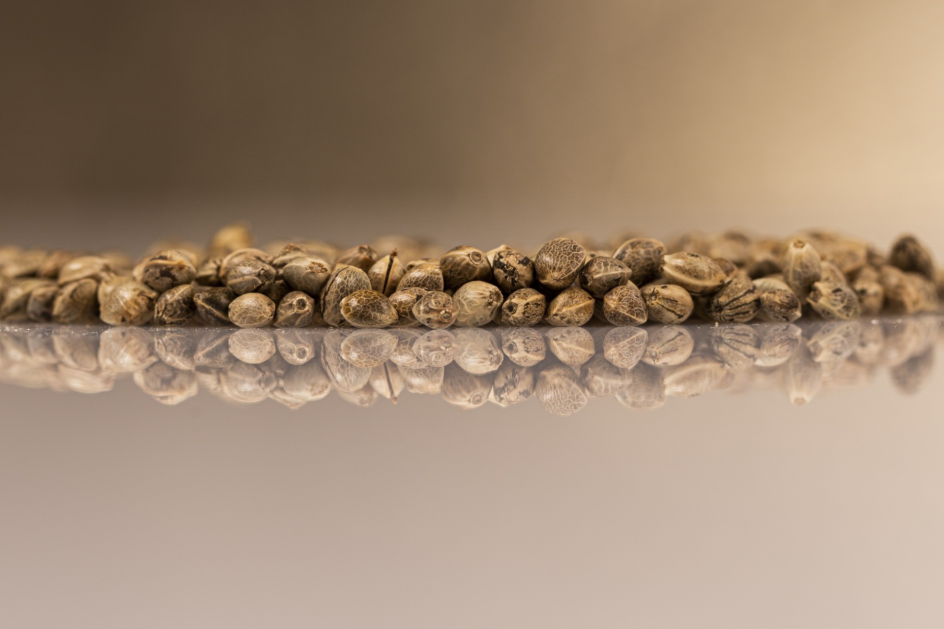 kender-vetomagok-tukrozodo-feluleten