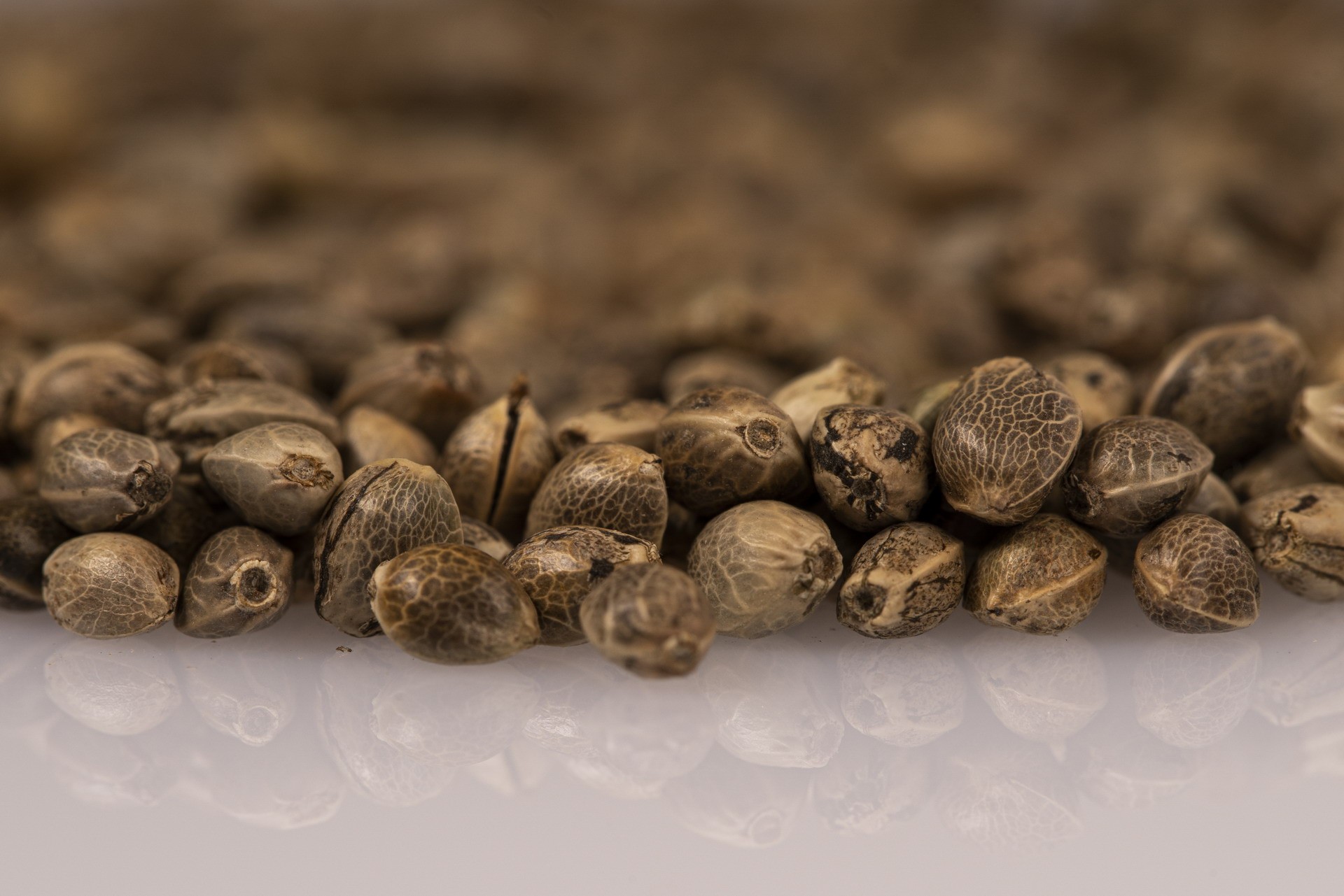 kendermagok-kozeli-reszletes-texturaval